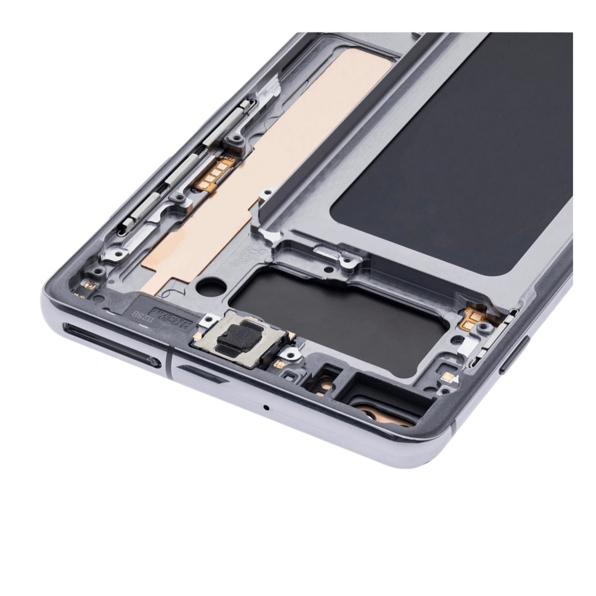 Galaxy S10 Plus OLED Screen