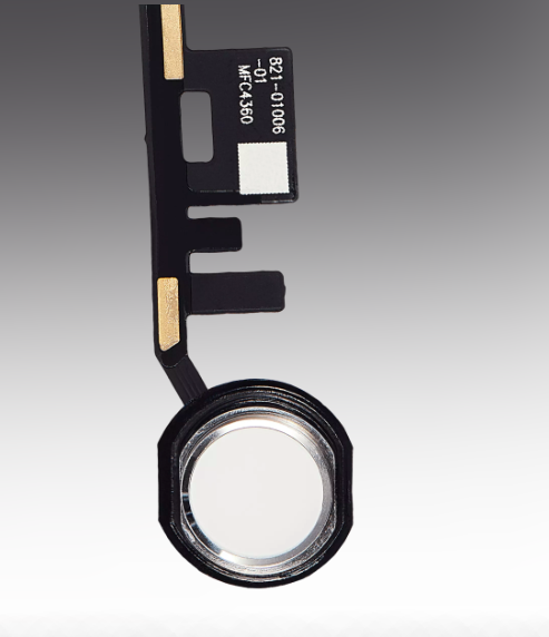 iPad 5 (2017) / iPad 6 (2018) Home Button Flex Cable (White)