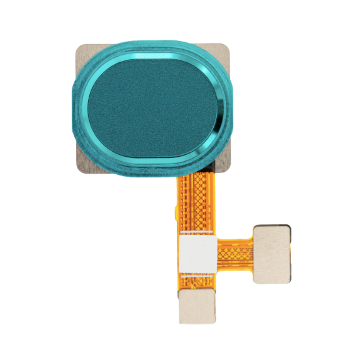 Samsung Galaxy A21 (A215 / 2020) Fingerprint Reader With Flex Cable (Green)