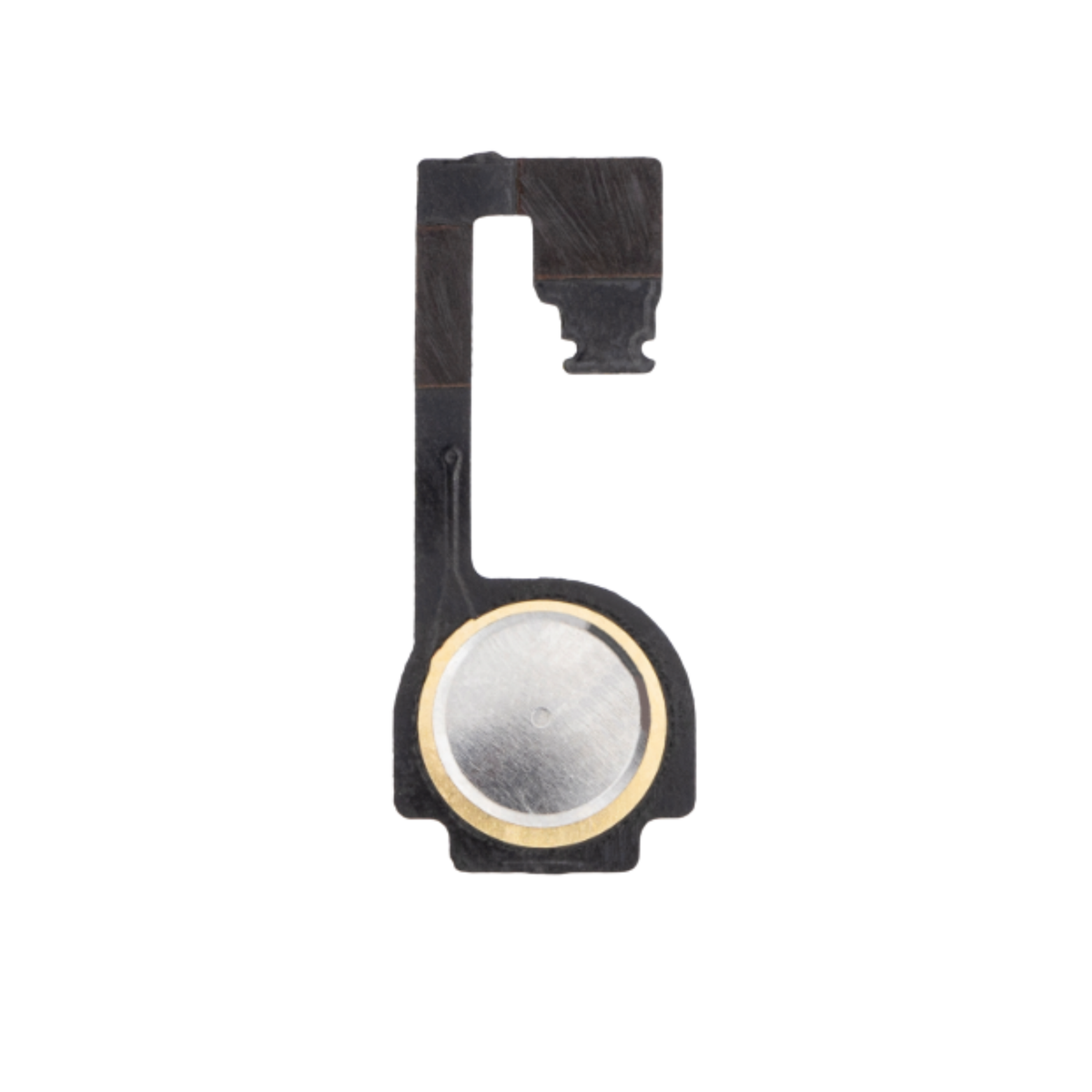 iPhone 4 Home Button Flex Cable Front View