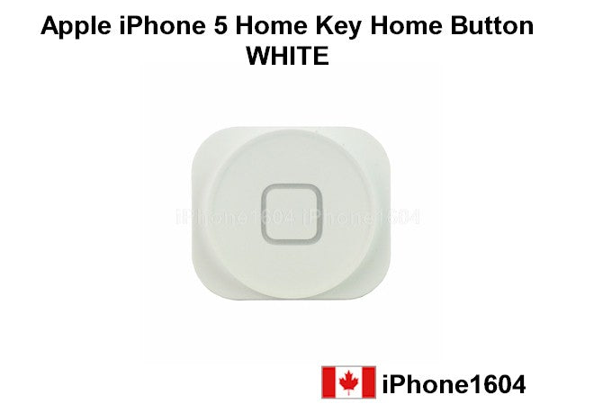 iPhone 5 Home Button - White
