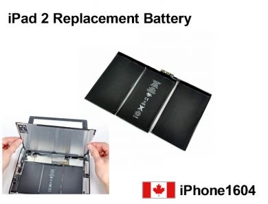 iPad 2 Battery