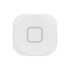 iPod Touch 5G Home Button - White