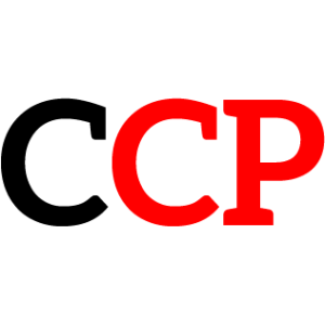 Samsung Galaxy Nexus 10 P8110 10.1 Digitizer - Black